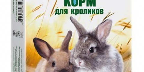 Čime hraniti zečeve za brzi rast i težinu